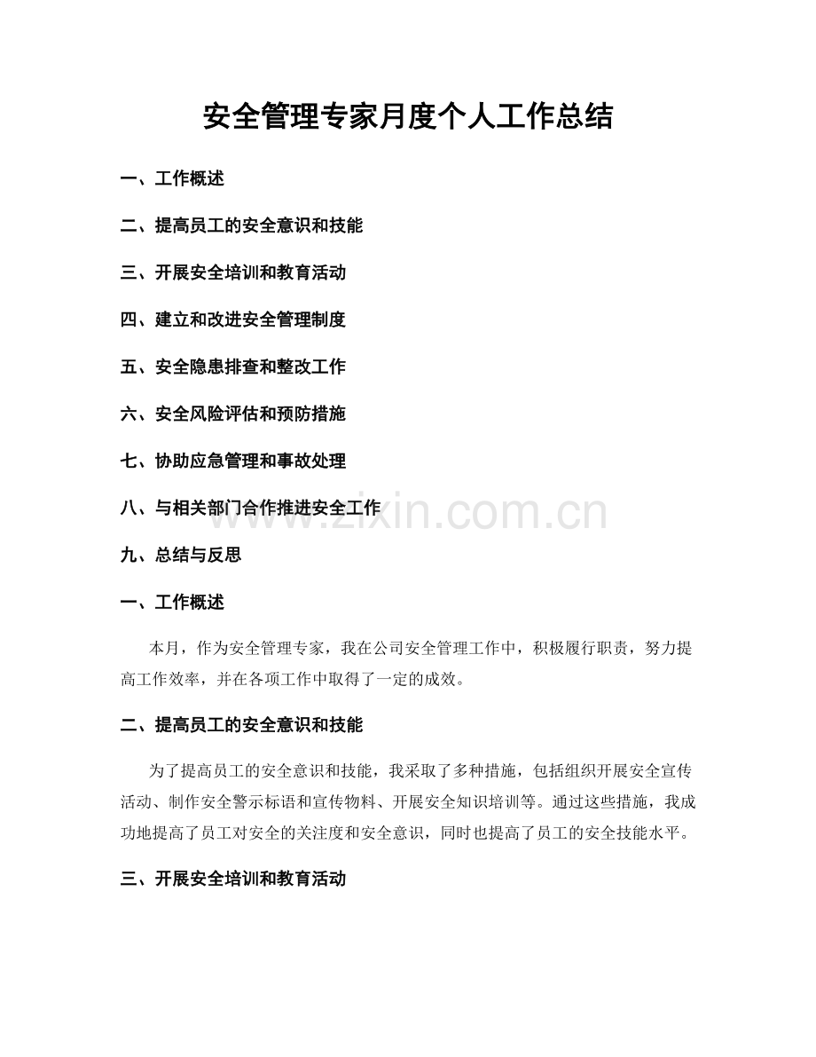 安全管理专家月度个人工作总结.docx_第1页