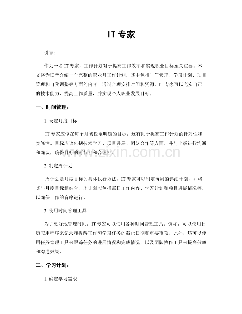 月度工作计划：IT专家.docx_第1页