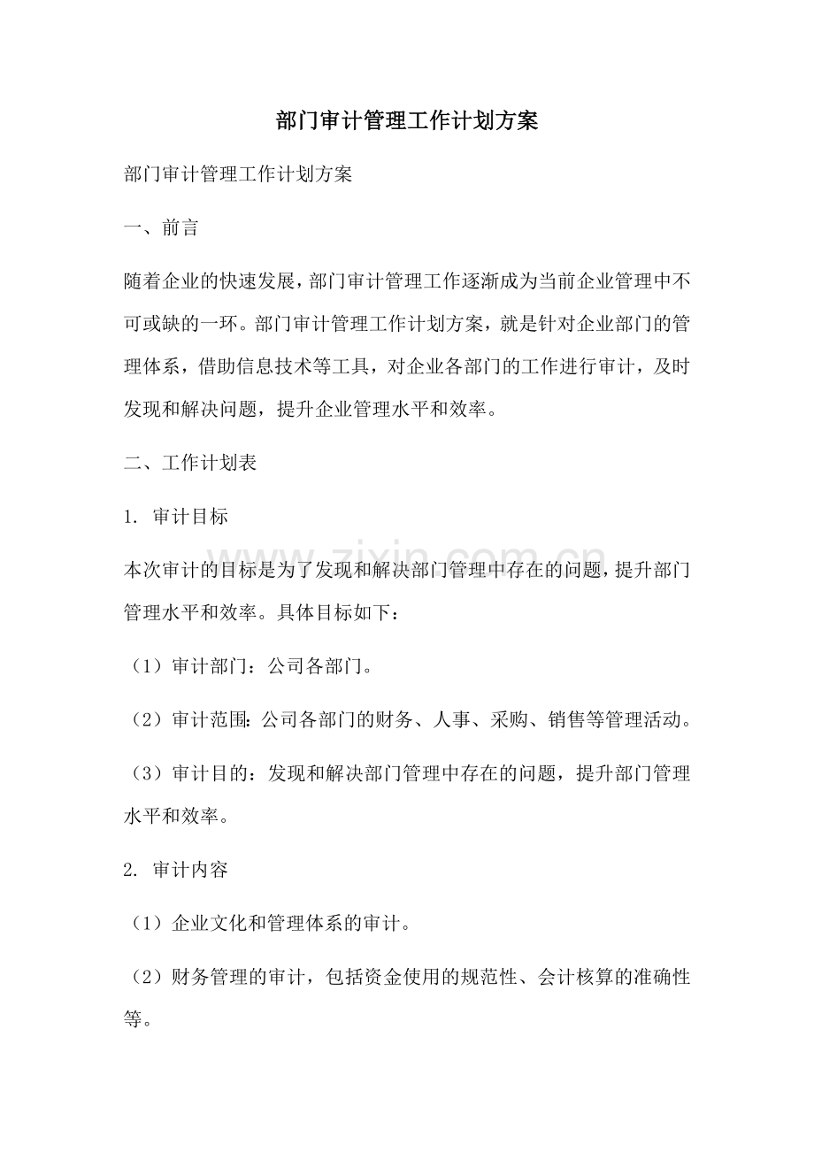 部门审计管理工作计划方案 (2).docx_第1页