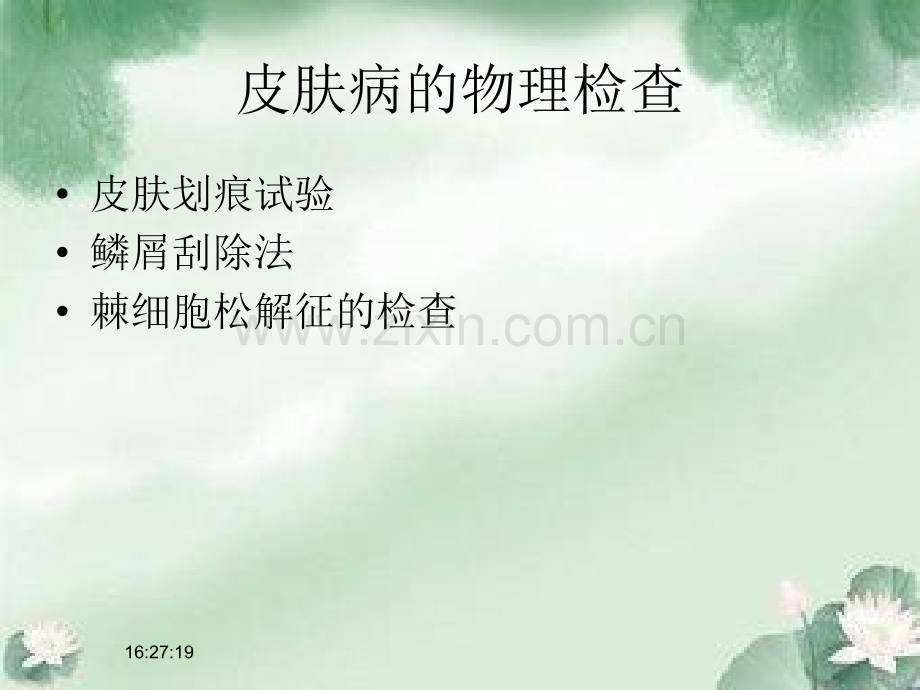 皮肤病物理检查.pptx_第2页