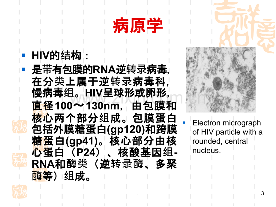 高教版艾滋病.ppt_第3页