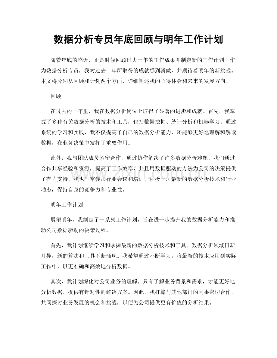 数据分析专员年底回顾与明年工作计划.docx_第1页