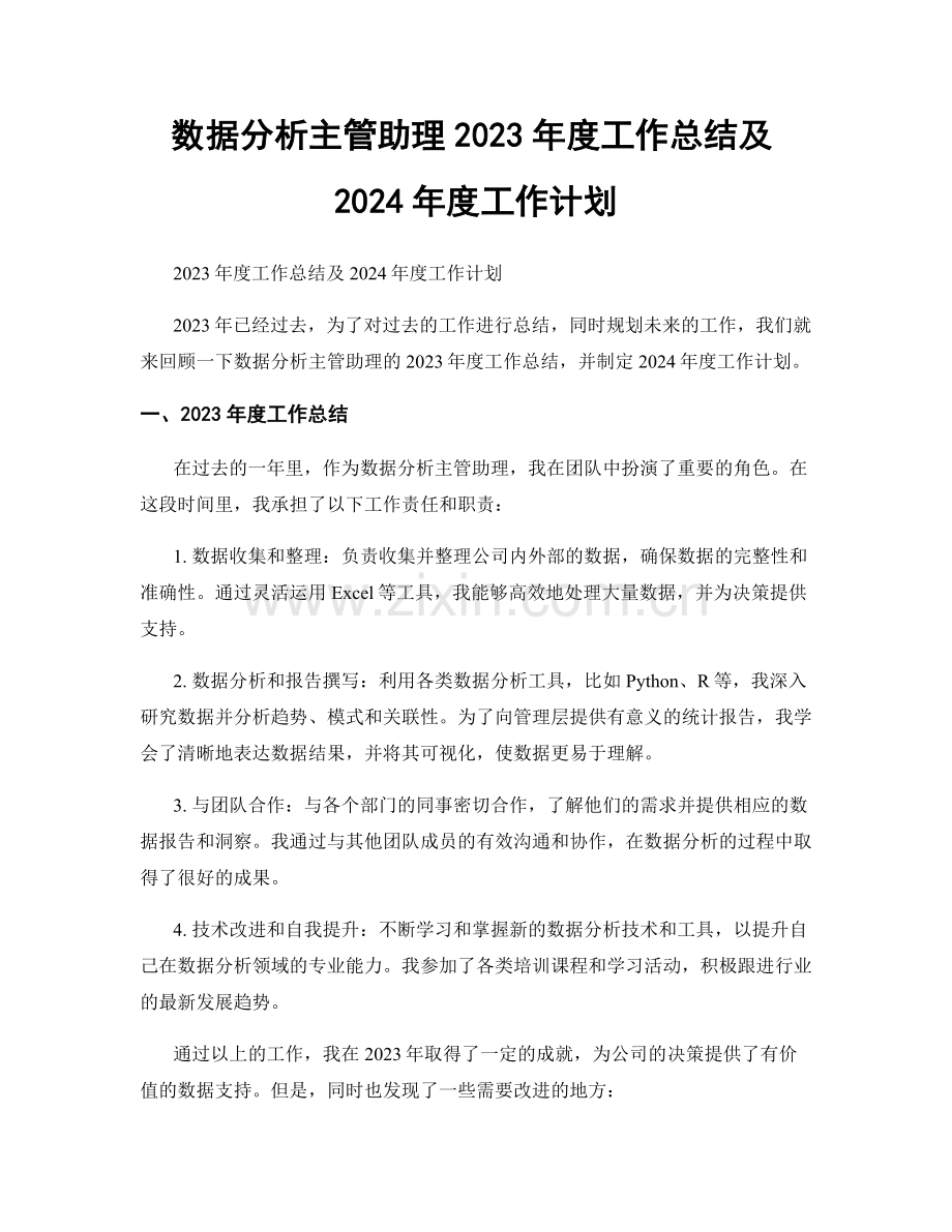 数据分析主管助理2023年度工作总结及2024年度工作计划.docx_第1页