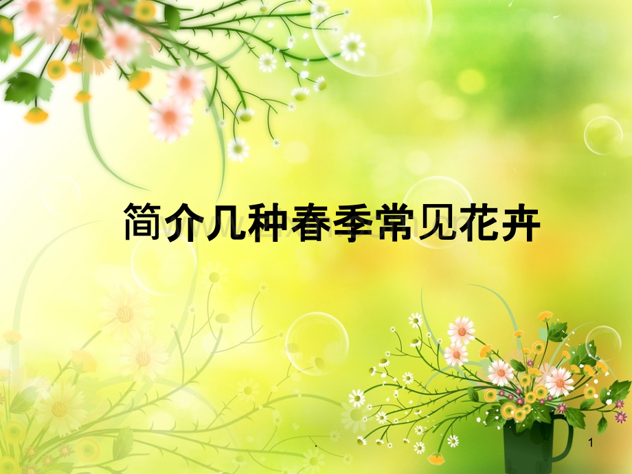 合肥春季常见花卉.ppt_第1页