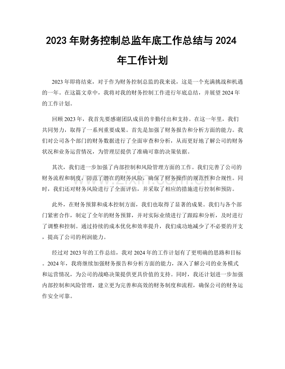 2023年财务控制总监年底工作总结与2024年工作计划.docx_第1页