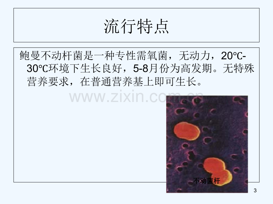 鲍曼不动杆菌患者的护理-PPT.ppt_第3页