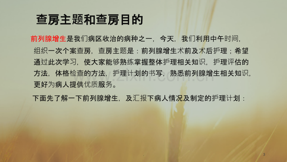 前列腺增生的护理查房课件.ppt_第3页