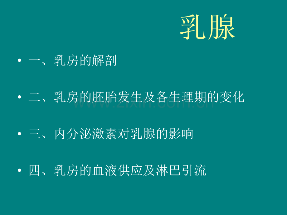 乳房的淋巴引流途径.ppt_第2页