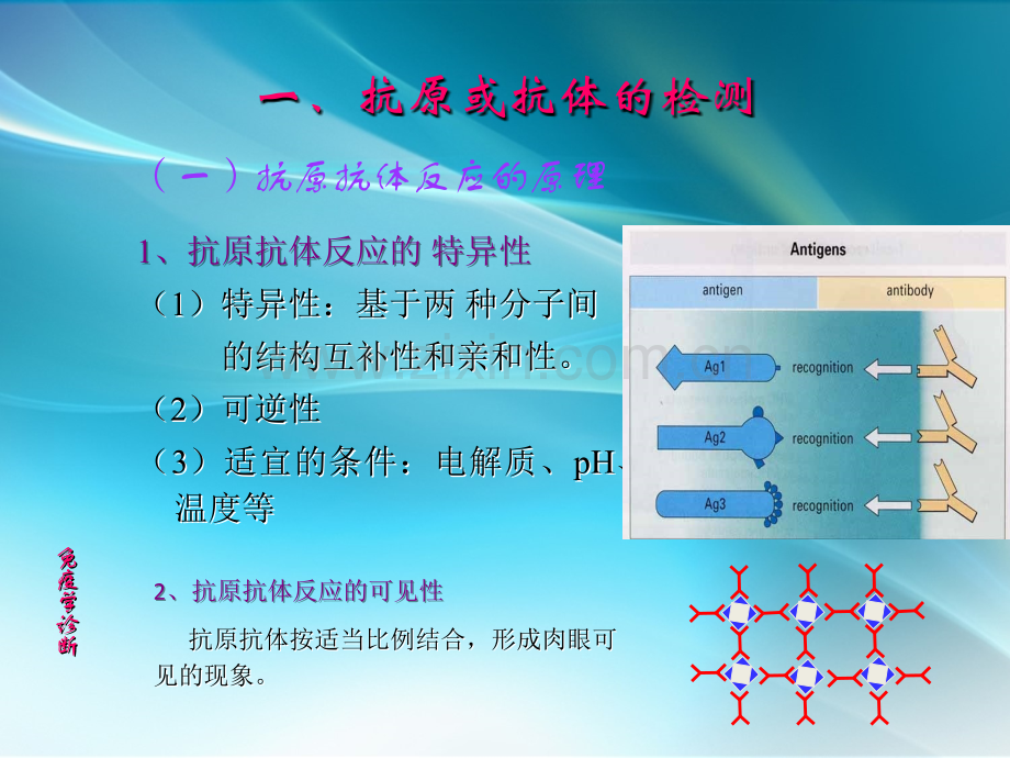 免疫学临床应用.ppt_第3页