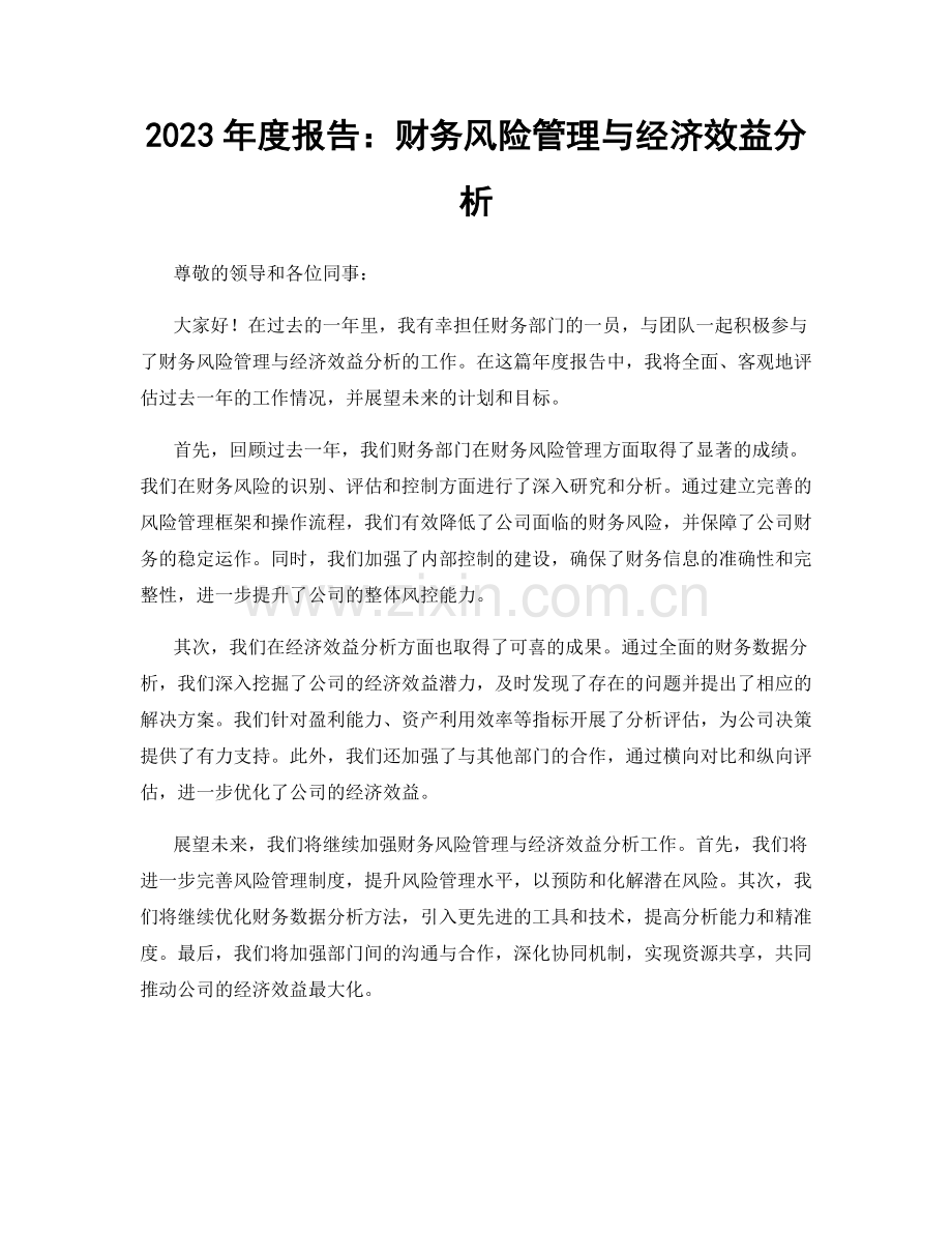 2023年度报告：财务风险管理与经济效益分析.docx_第1页