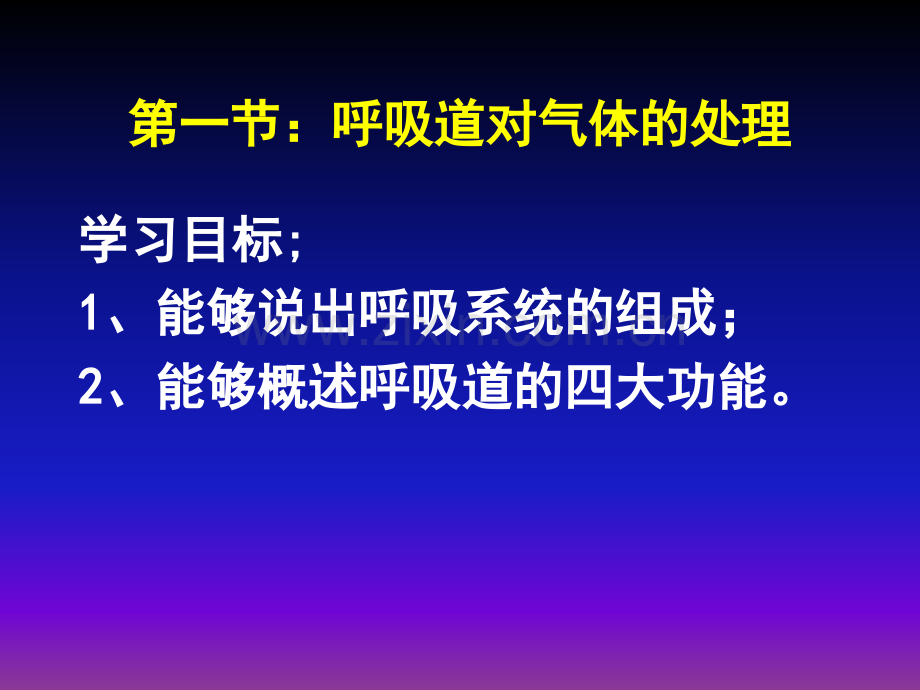 呼吸道对气体的处理.ppt_第1页