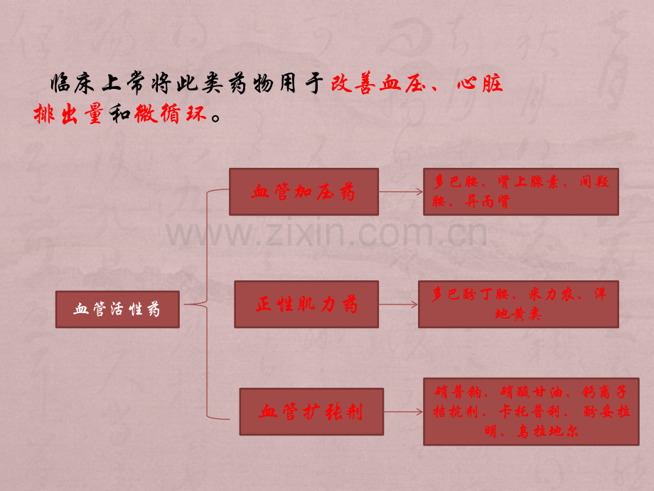 使用血管活性药物的注意事项.ppt_第3页