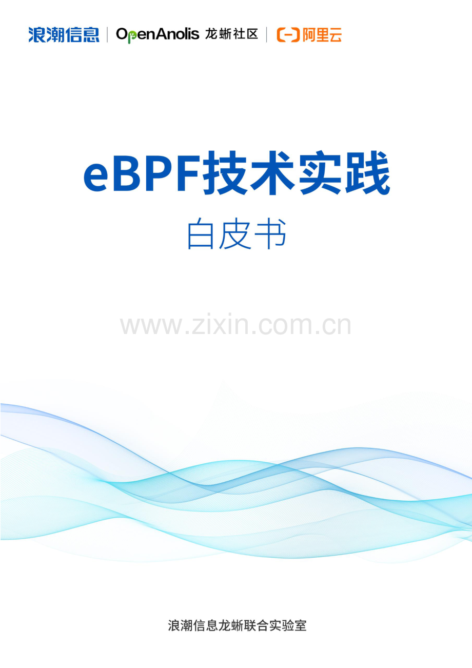 eBPF技术实践白皮书.pdf_第1页