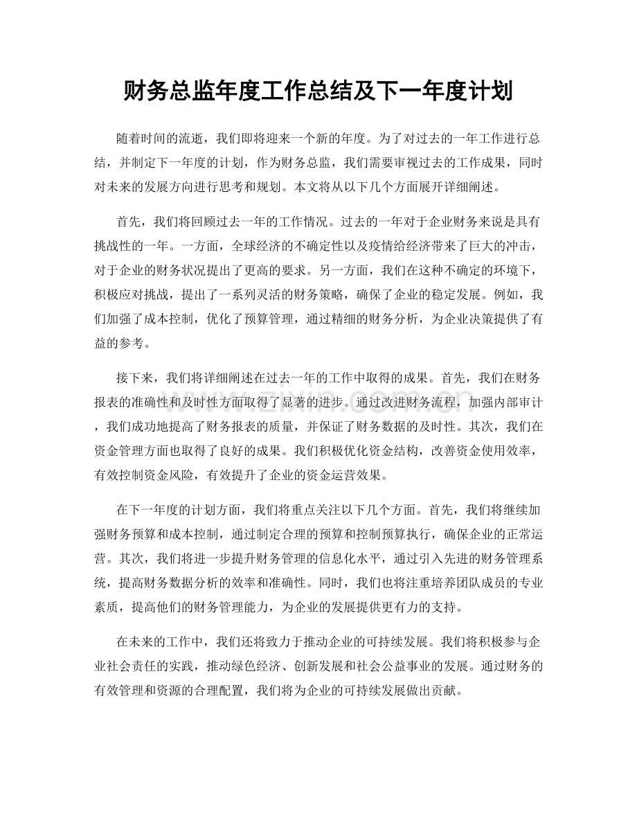 财务总监年度工作总结及下一年度计划.docx_第1页