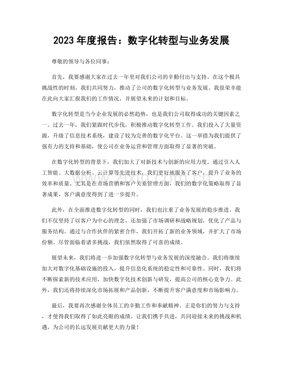 2023年度报告：数字化转型与业务发展.docx_第1页