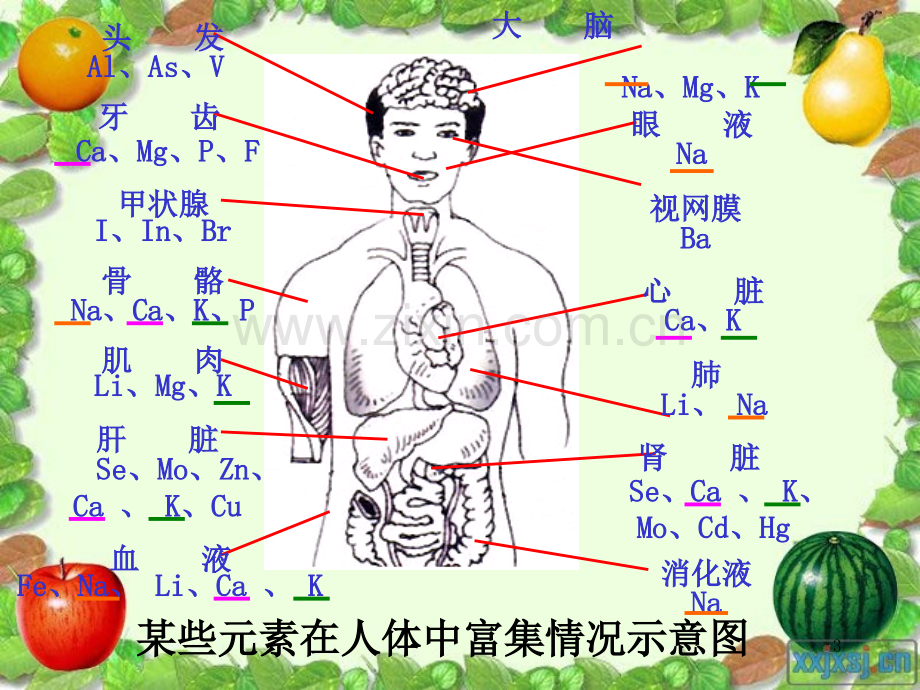 化学元素与人体健康.ppt_第3页