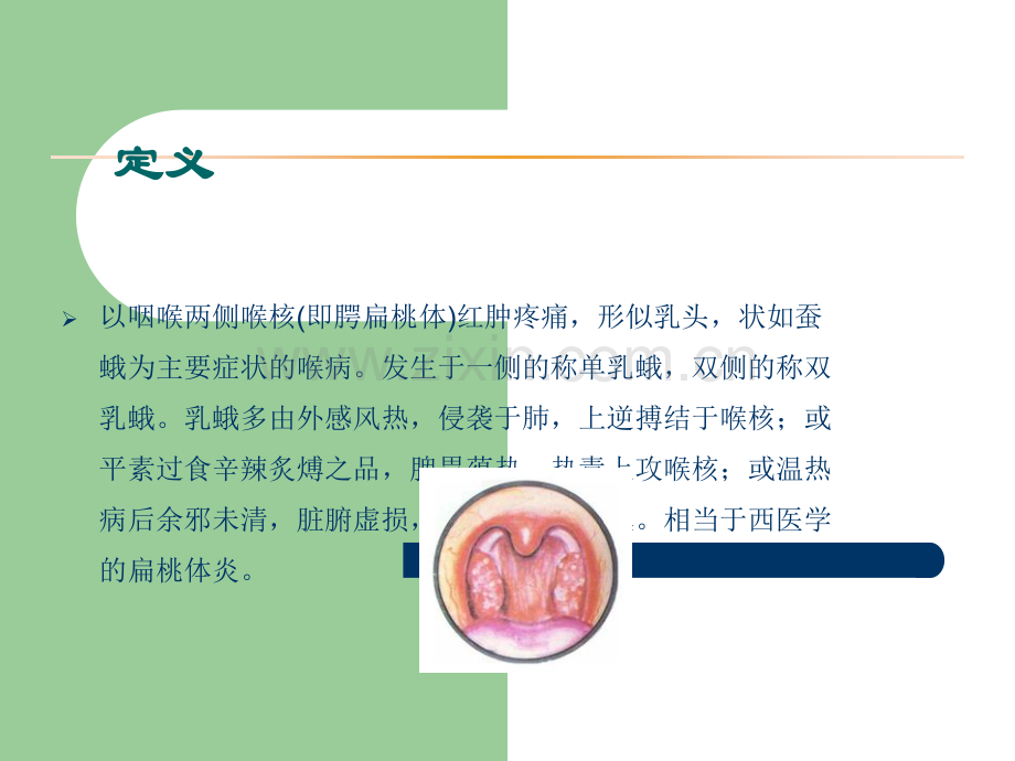 乳蛾的辨证施治.ppt_第2页