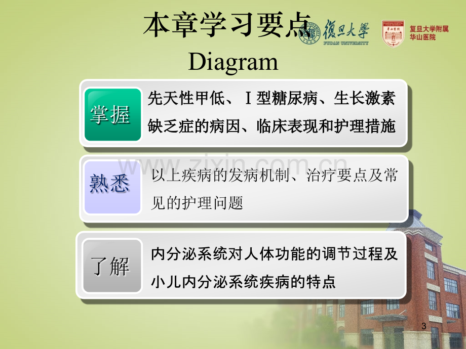 内分泌系统疾病患儿的护理ppt课件.ppt_第3页