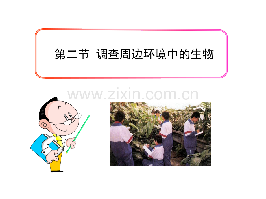 第二节-调查周边环境中的生物ppt.ppt_第2页