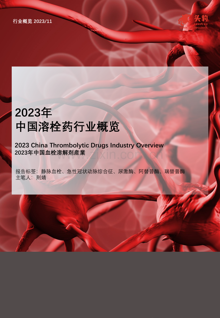 2023年中国溶栓药行业概览.pdf_第1页