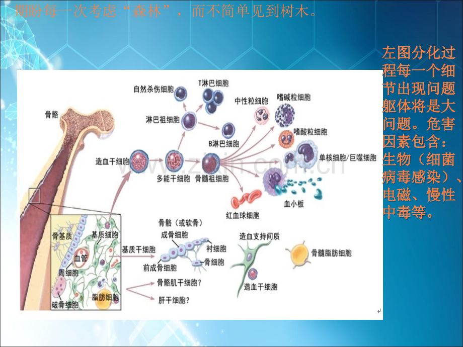 偶尔高烧或低烧和未分化结缔组织病.ppt_第3页