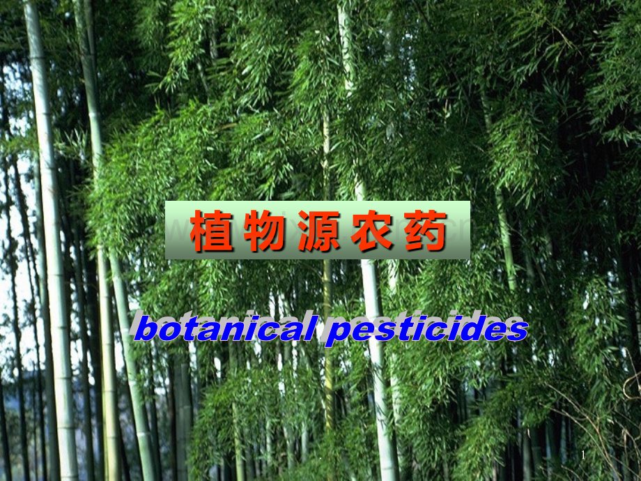 六-植物源农药.ppt_第1页