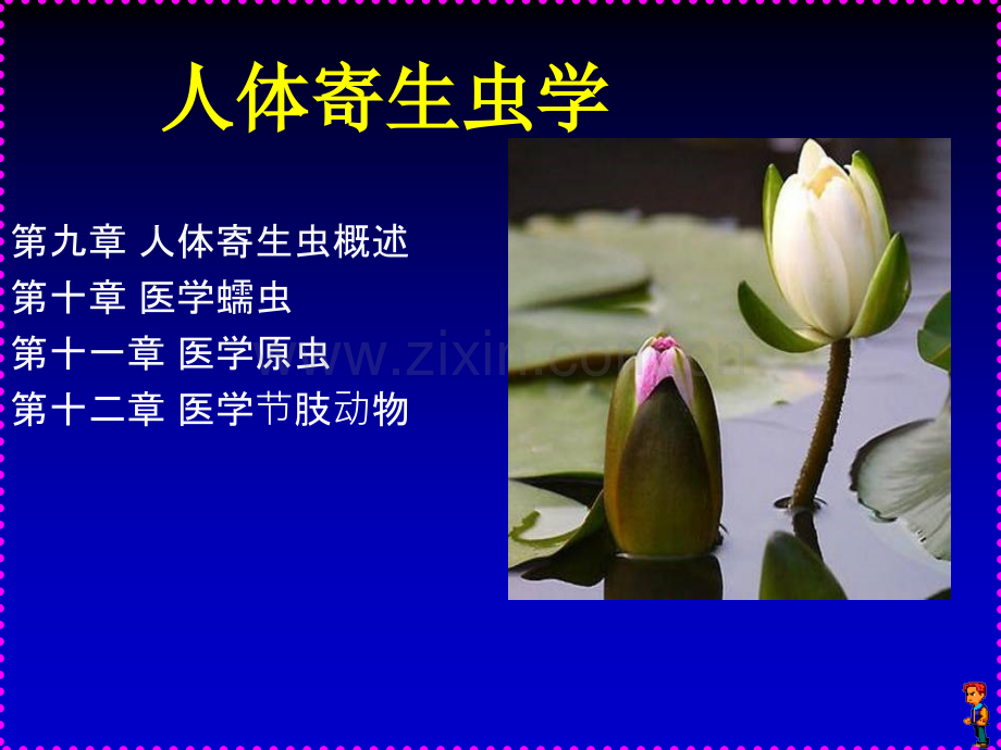 人体寄生虫学讲稿.ppt_第1页