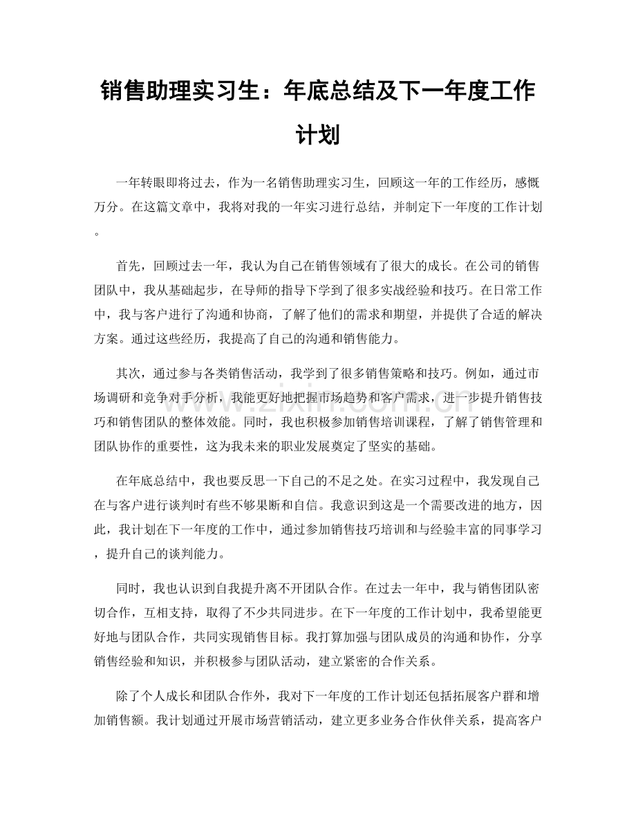 销售助理实习生：年底总结及下一年度工作计划.docx_第1页