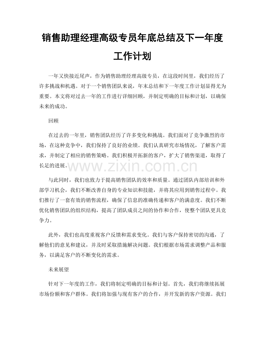 销售助理经理高级专员年底总结及下一年度工作计划.docx_第1页