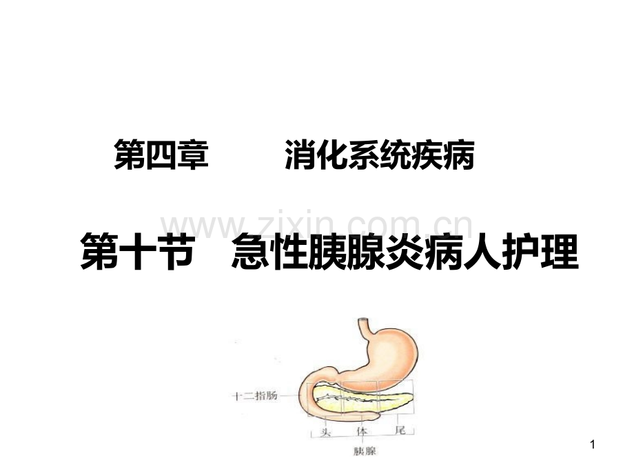 内科护理学-急性胰腺炎.ppt_第1页