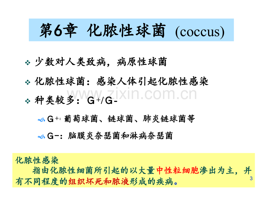 化脓性球菌.ppt_第3页