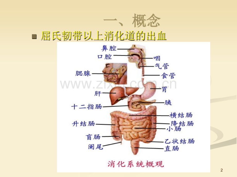 上消化道大出血的诊、观察要点.ppt_第2页