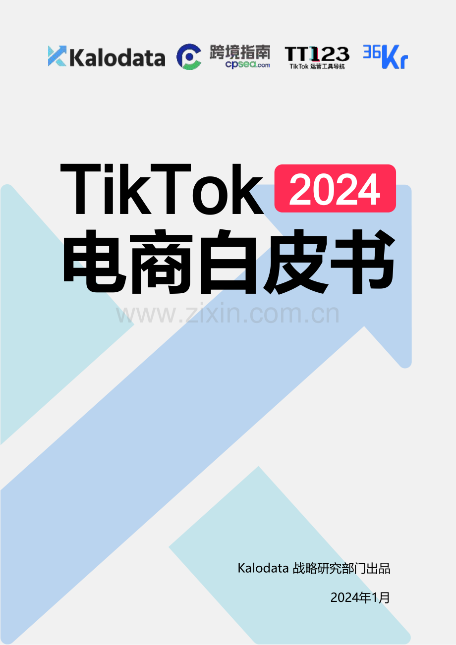 2024年TikTok电商白皮书.pdf_第1页