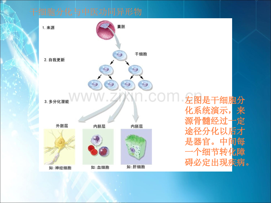 偶尔高烧或低烧与未分化结缔组织病.ppt_第2页