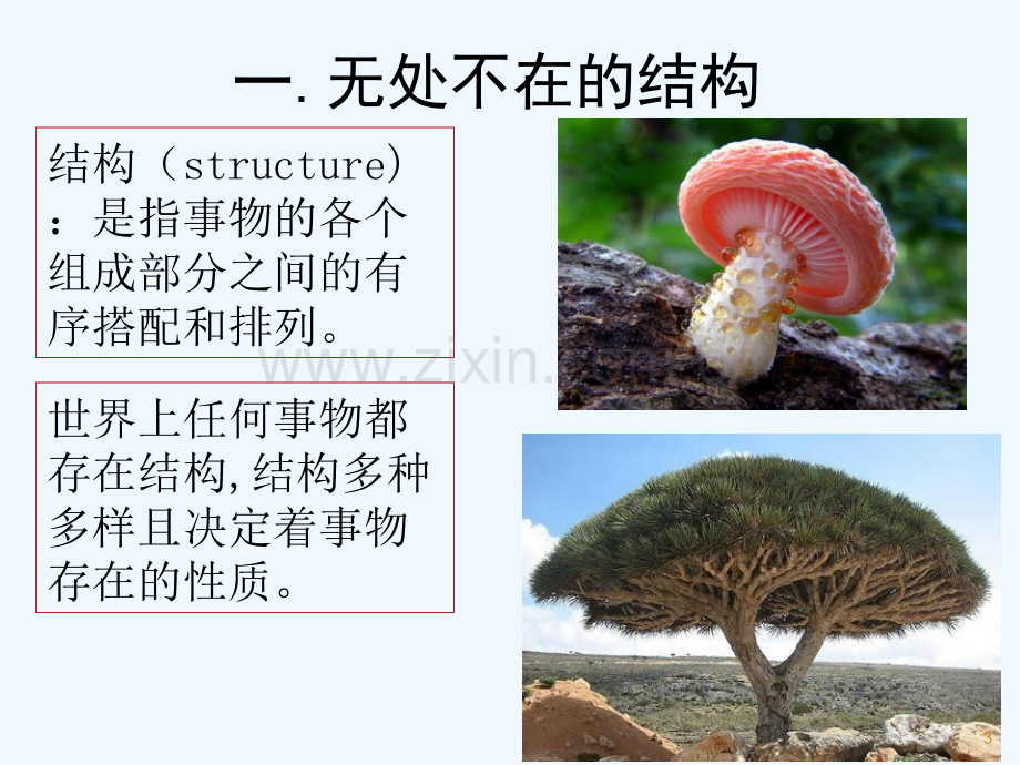 第一单元-结构与设计新-PPT.ppt_第3页