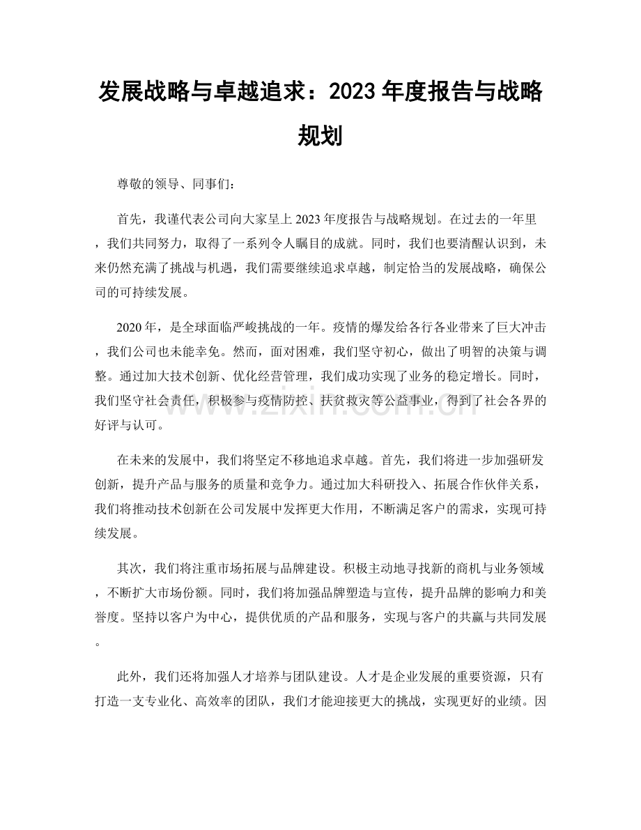 发展战略与卓越追求：2023年度报告与战略规划.docx_第1页