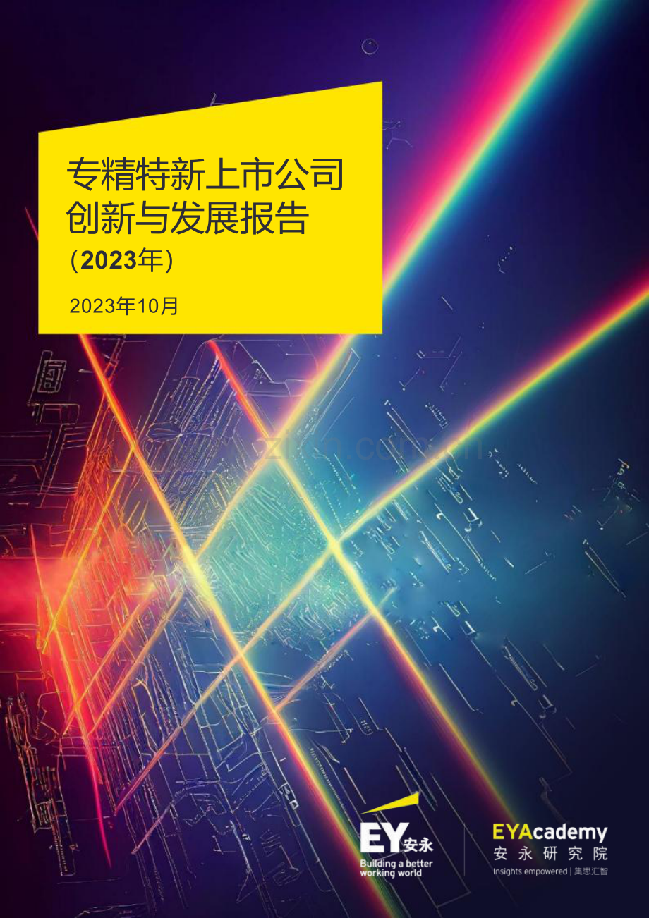 2023年专精特新上市公司创新与发展报告.pdf_第1页