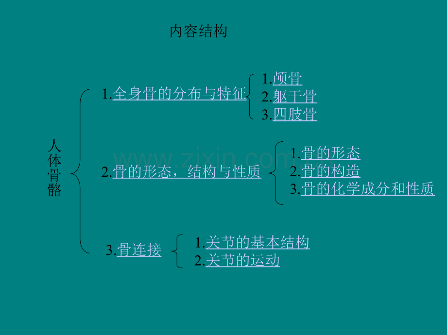 人体骨骼全身骨的分布与特征.ppt_第2页