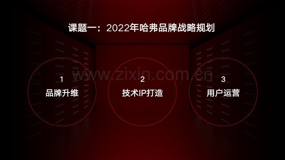 2022年哈弗汽车品牌全案策略及营销推广方案.pdf_第3页