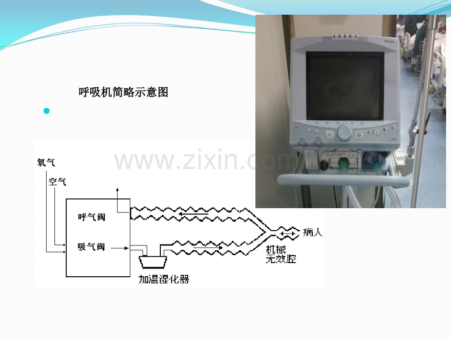 呼吸机的使用.ppt_第3页