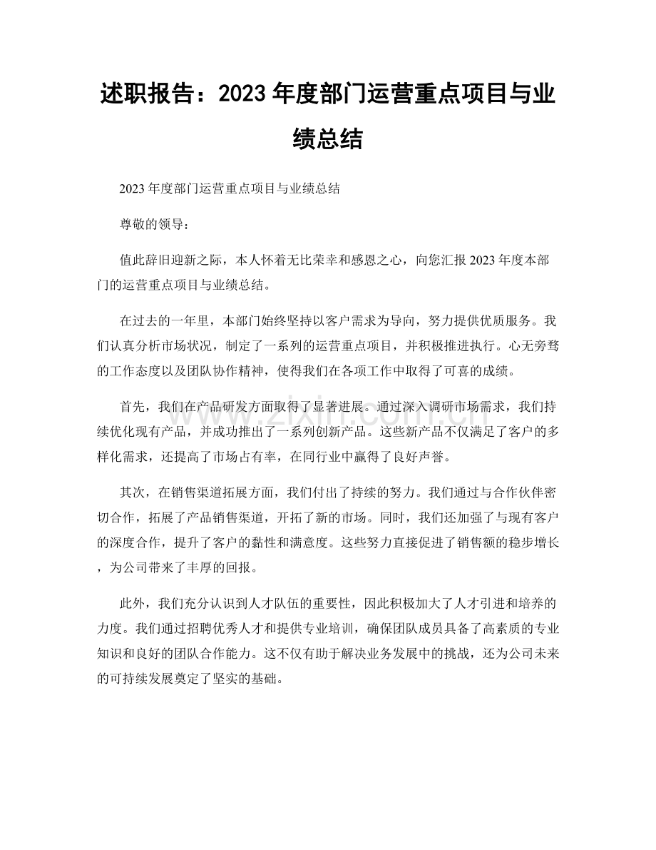 述职报告：2023年度部门运营重点项目与业绩总结.docx_第1页