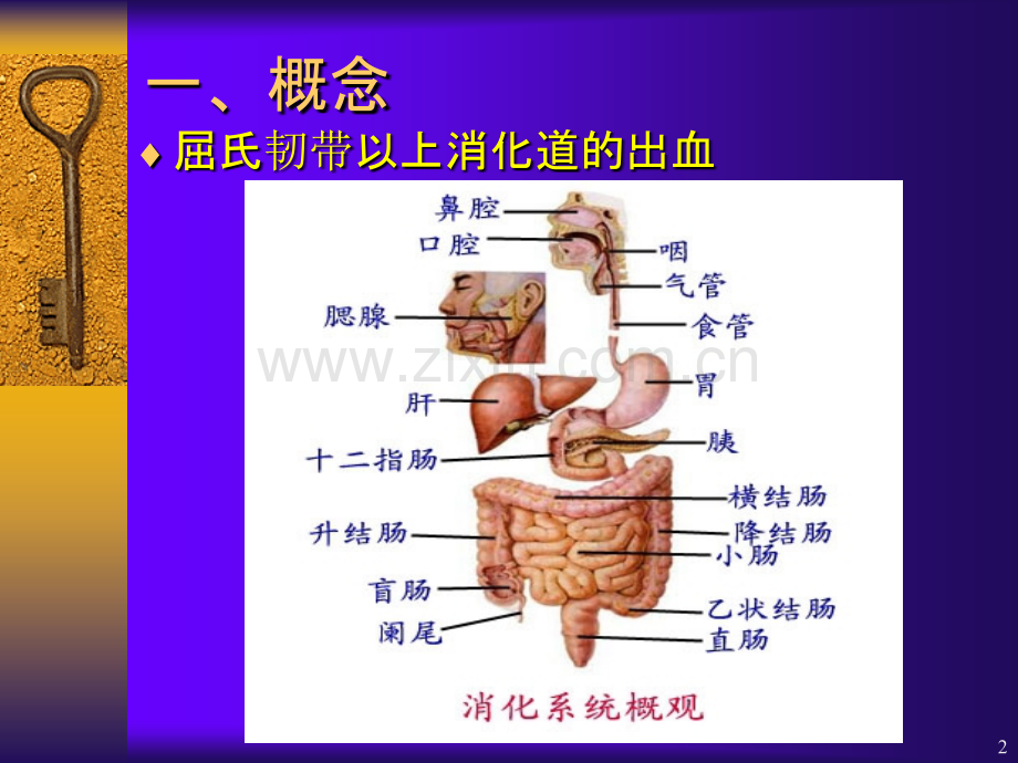 上消化道大出血的诊、观察要点PPT课件.ppt_第2页