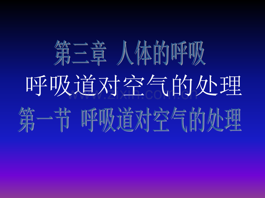 呼吸道对空气的处理ppt课件.ppt_第1页