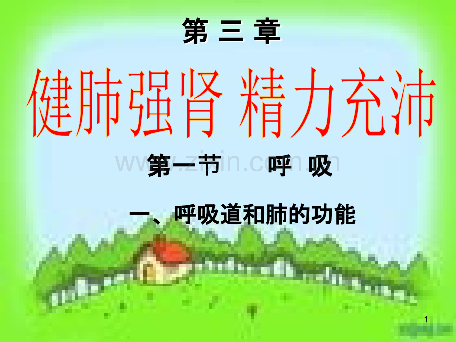 呼吸道和肺.ppt_第1页