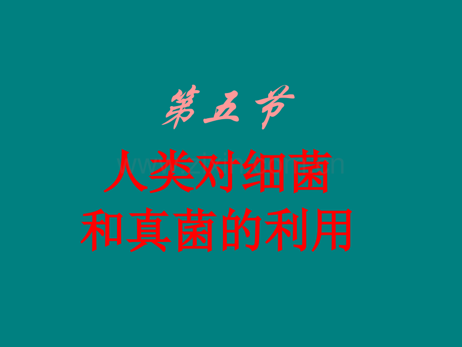 人类对细菌和真菌的利用.ppt_第1页