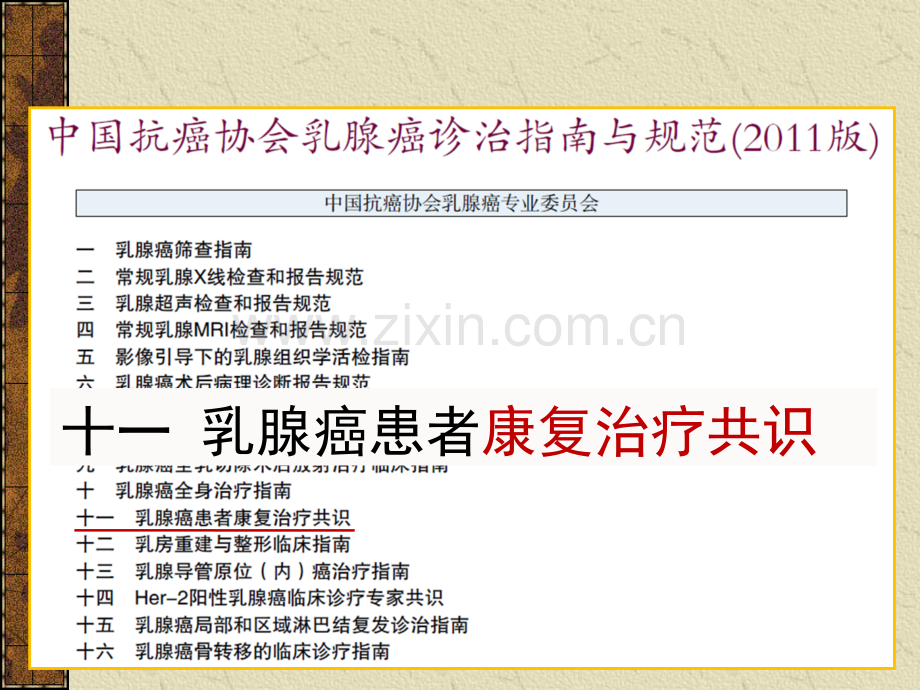 乳腺癌患者康复治疗共识.ppt_第3页