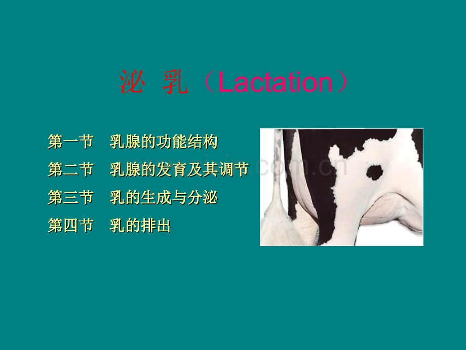 乳腺的功能结构和发育.ppt_第1页