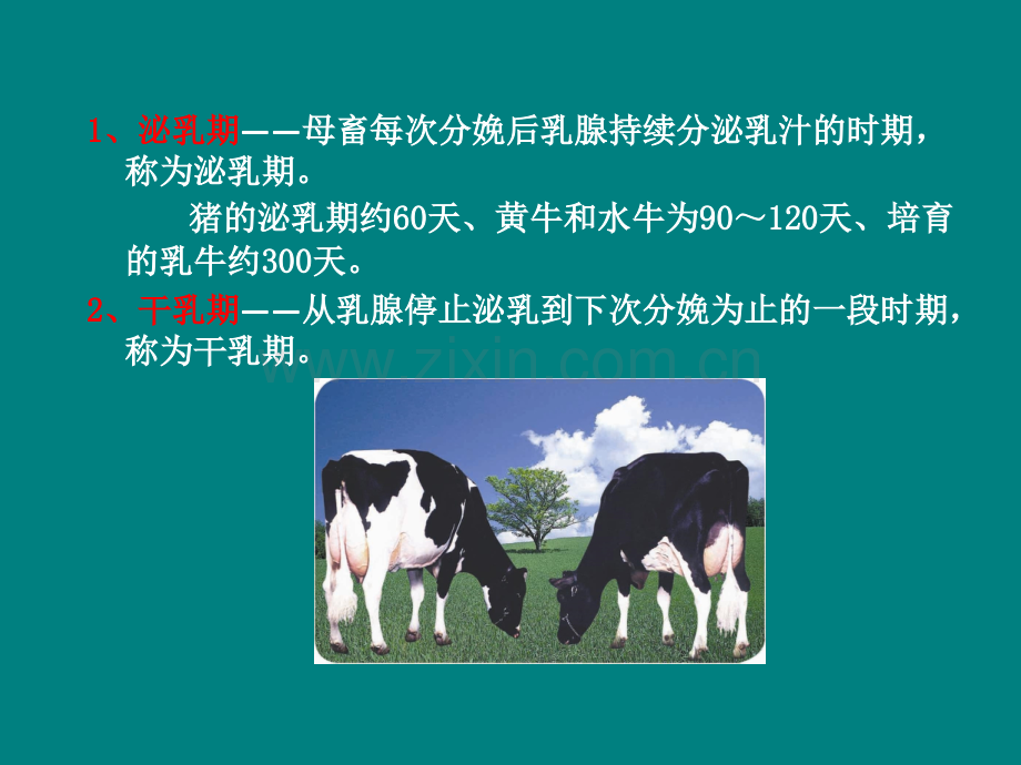 乳腺的功能结构和发育.ppt_第2页