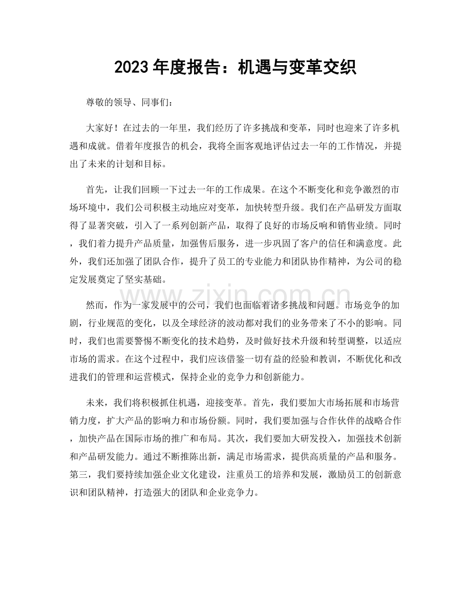 2023年度报告：机遇与变革交织.docx_第1页