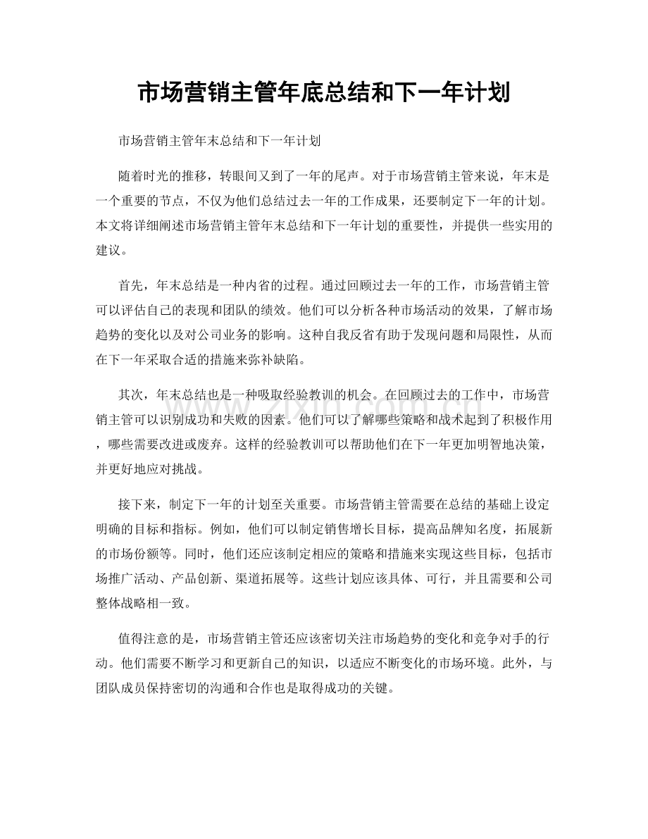 市场营销主管年底总结和下一年计划.docx_第1页